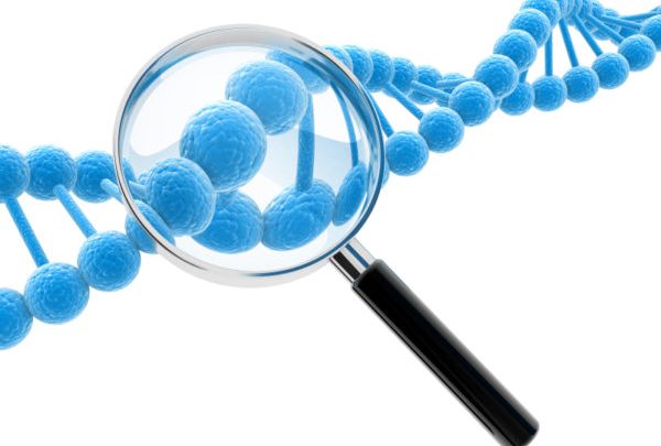 dna-600x405.jpg