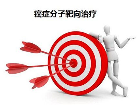 肾癌靶向治疗