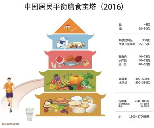 中国膳食宝塔2016