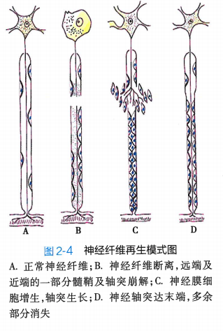1601439040898338.png