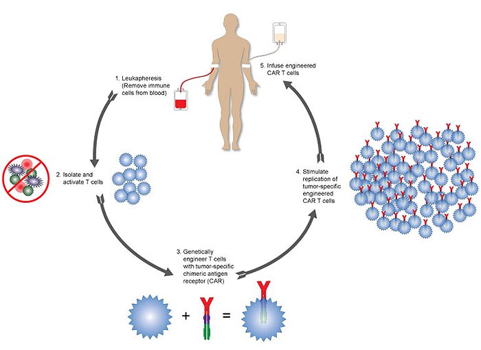 car-t-cell-process-systemic-wide.jpg