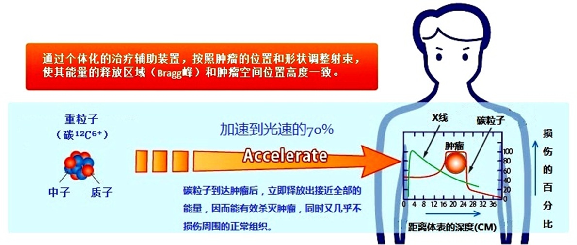 v2-f431dc5de11e2327f0aa44ea86dc9a7f_r.jpg