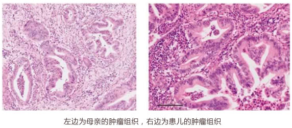 未标题-59.jpg