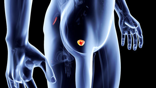<a href='https://www.haoeyou.com/prostaticcancer/' target='_blank'><u>前列腺癌</u></a>ee.jpg
