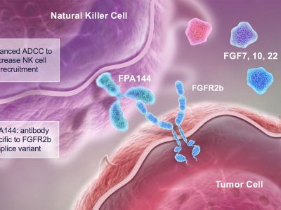 Bemarituzumab-400x300.jpg