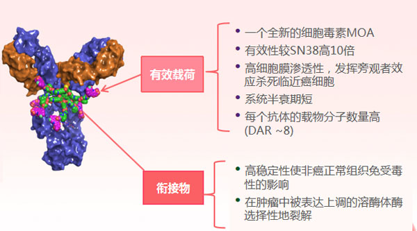 微信图片_20210226113736.jpg