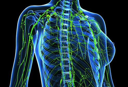 <a href='https://www.haoeyou.com/lymphadenoma/' target='_blank'><u>淋巴瘤</u></a>w.jpg