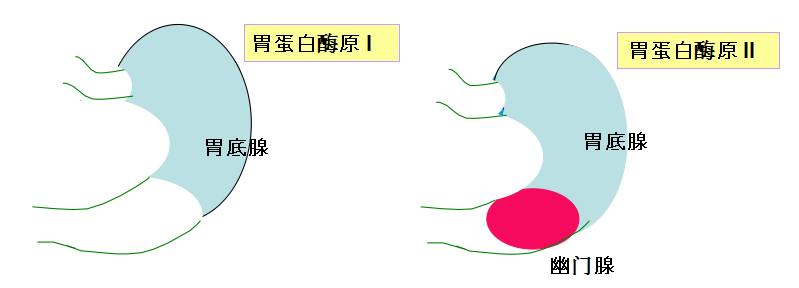 R-C.533e5c0556f7137c8950108060c20d2c.png