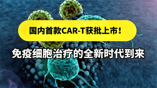 src=http___wx4.sinaimg.cn_large_008eNZdtly4gs6ibjexjdj31400mitd5.jpg&refer=http___wx4.sinaimg.jpg