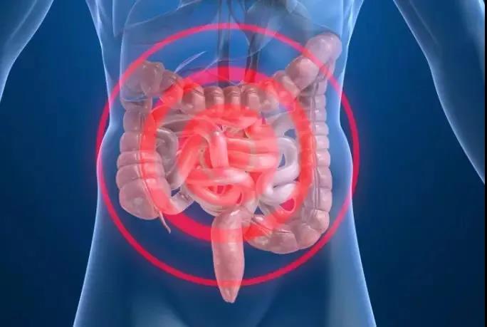 <a href='https://www.haoeyou.com/colorectalcancer/' target='_blank'><u>结直<a href='http://zhannei.baidu.com/cse/search?s=3220316627732063245&en' target='_blank'><u>肠癌</u></a></u></a>1.jpg