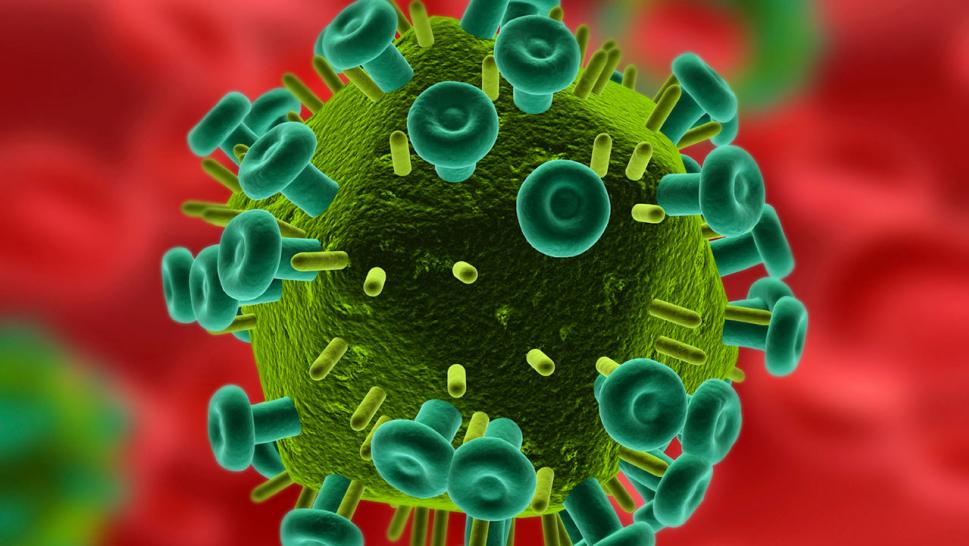 HIV (2).jpg