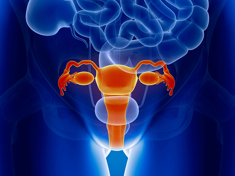 <a href='https://www.haoeyou.com/ovariancancer/' target='_blank'><u>卵巢癌</u></a>hf.jpg