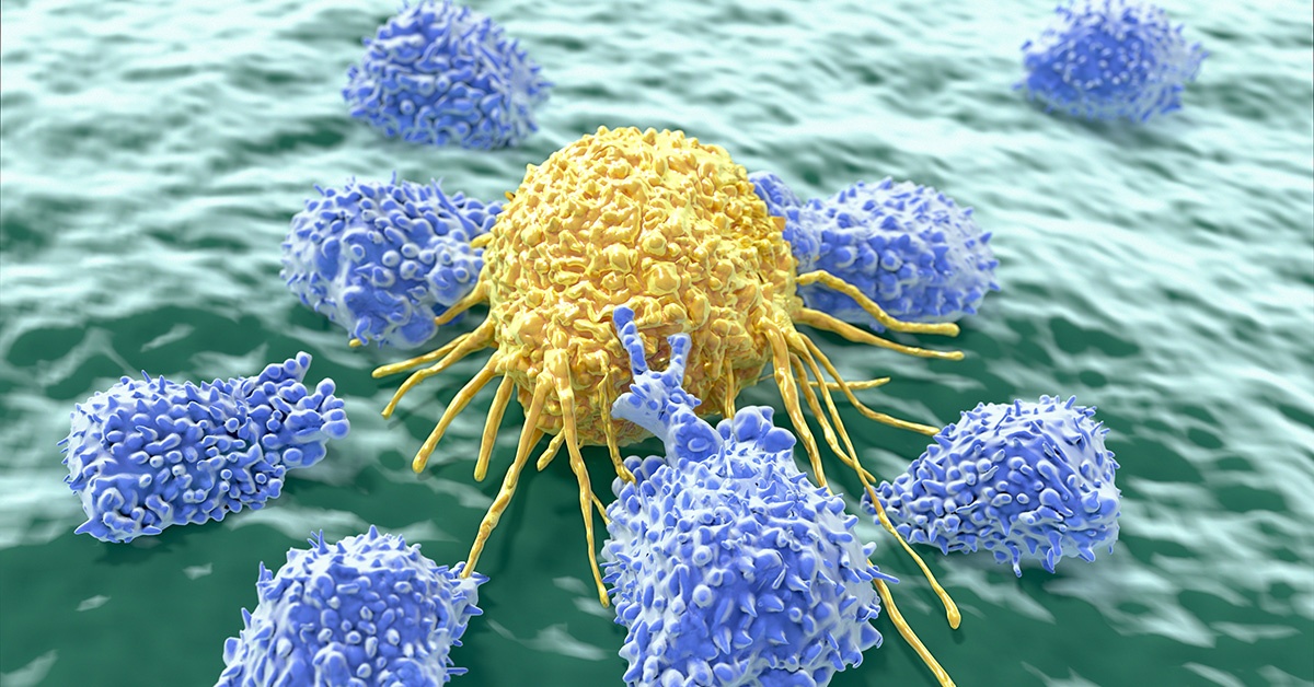 Cancer being attached by Lymphocytes.jpg