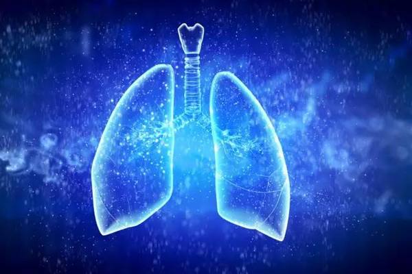 <a href='https://www.haoeyou.com/lungcancer/' target='_blank'><u>肺癌</u></a>5.jpg
