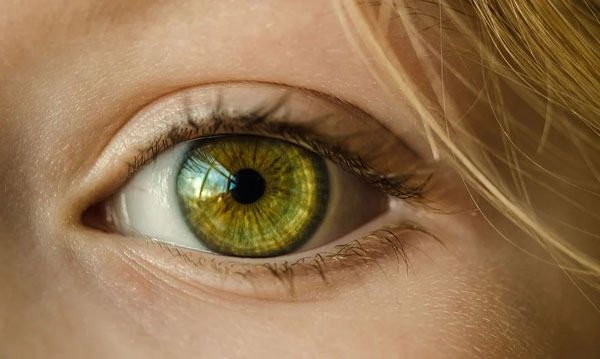 eye-1132531_960_720.webp.jpg