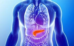 <a href='https://www.haoeyou.com/pancreaticcancer/' target='_blank'><u>胰腺癌</u></a> (4).jpg