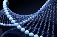 BHCC联手“Molecular Health”——使高精度医学应用成