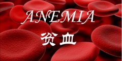 好医友健康讲座系列报道《贫血》