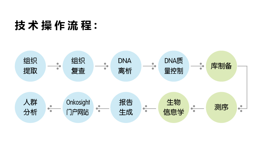 OnkoSight操作流程,技术流程
