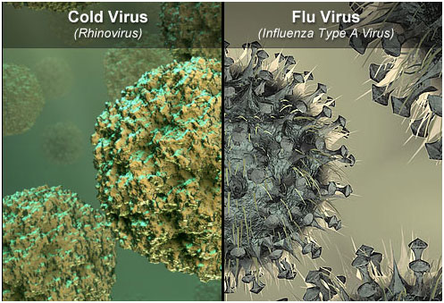 流感，普通感冒