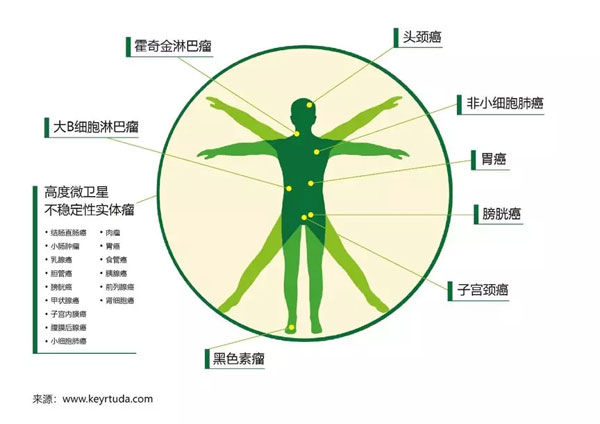 肿瘤分布图，癌症分布图