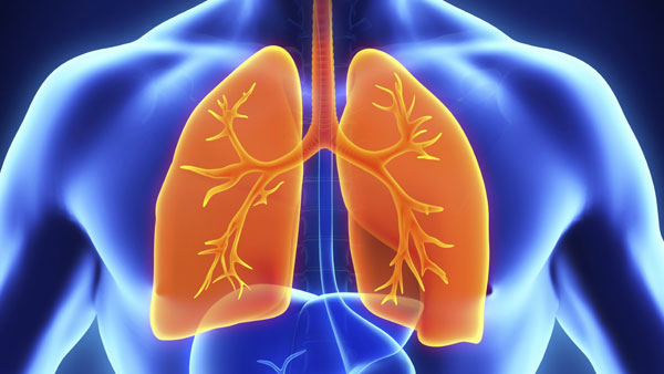Lungs-16-9.jpg