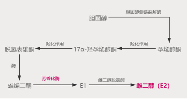 微信图片_20210315155310.jpg