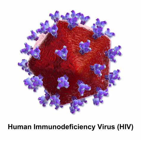HIV (8).jpg