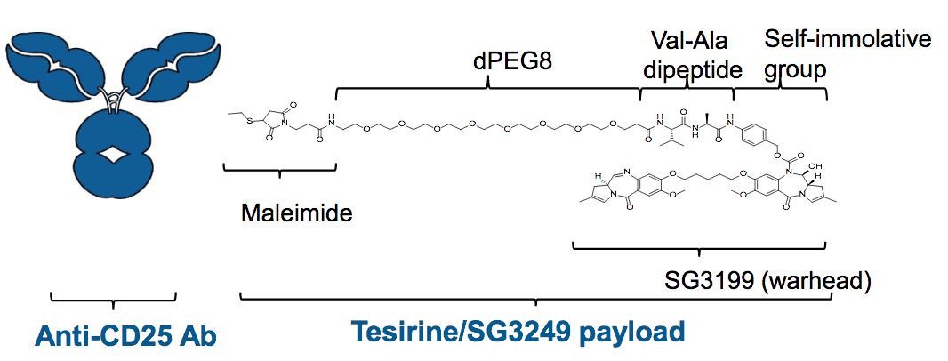 Camidanlumab-Tesirine-ADCT-301-Cami.png