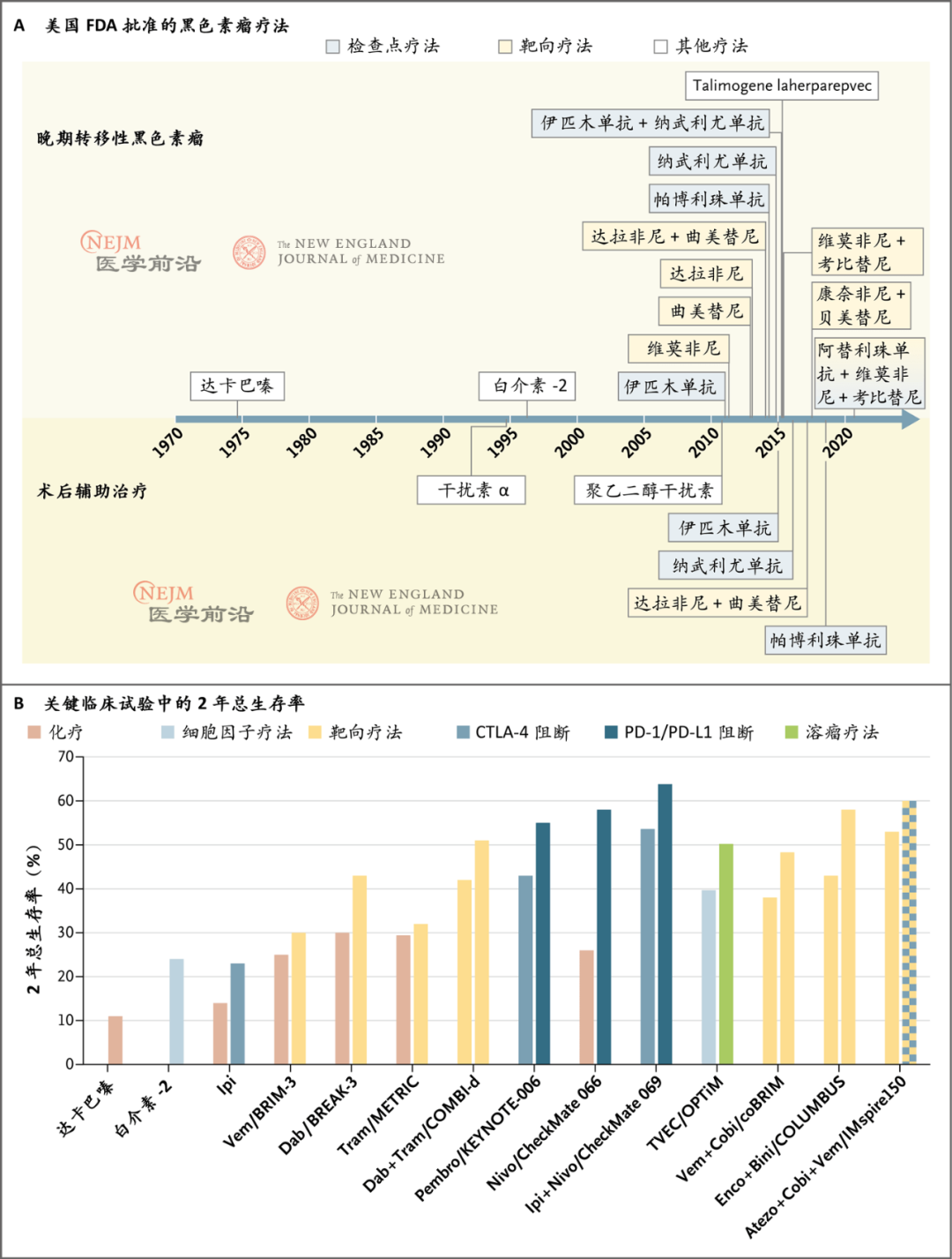 图1. 已批准的黑色素瘤疗法及其2年总生存率.png