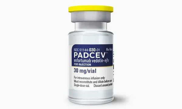 新抗体偶联药Padcev带来惊喜！膀胱癌有望迎来新疗法